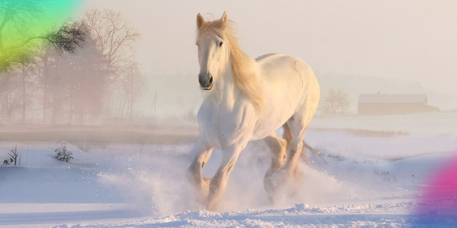Martin na bílém koni